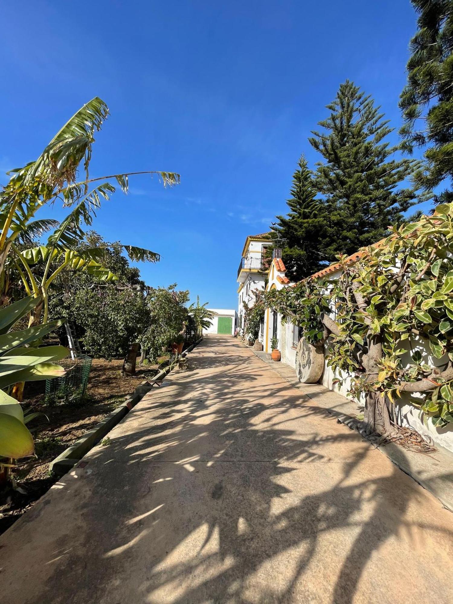 Finca La Tacita - Petunia Conil De La Frontera Exterior photo